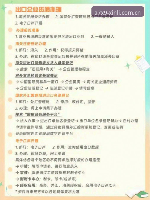 新利体育最新入口实用详解：登录、下载与更新全流程说明