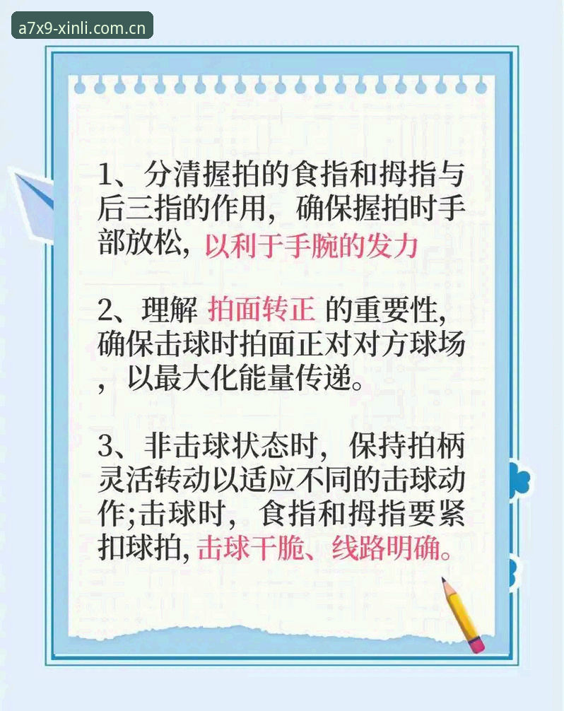 新利体育登录必备实用技巧：从入口选择到版本更新的完整指南